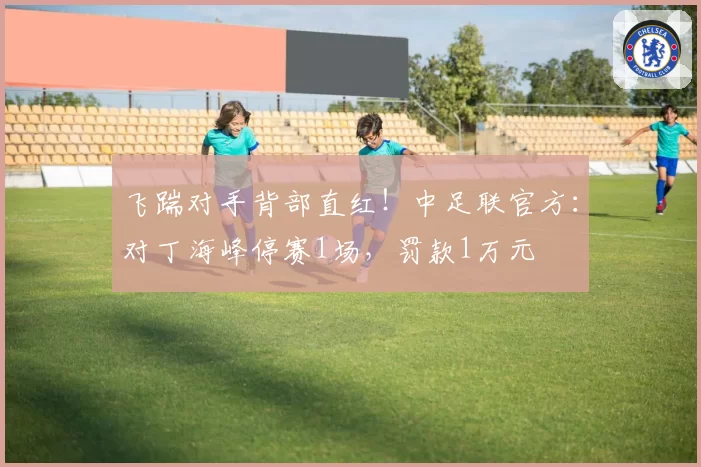 飞踹对手背部直红！中足联官方：对丁海峰停赛1场，罚款1万元